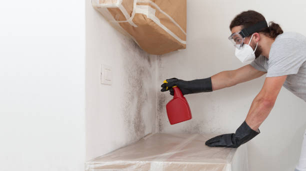 Professional Crawl Space Mold Removal technician working in Franklin, KY
