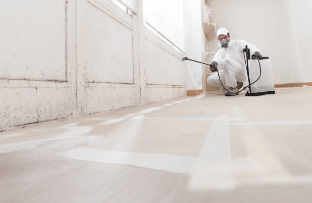 24/7 Emergency Crawl Space Mold Removal experts in Franklin, KY