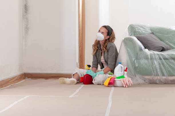 Reliable Crawl Space Mold Removal contractor in Franklin, KY by WQB Mold Removal