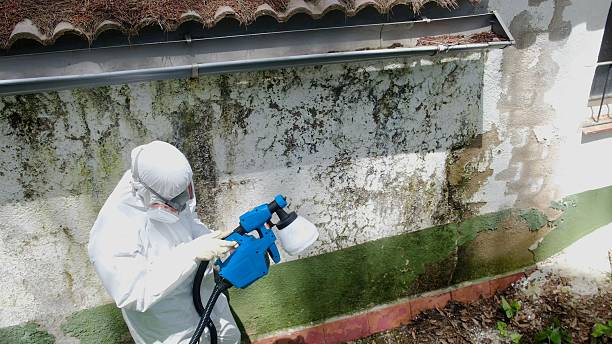 Top rated local Crawl Space Mold Removal specialists in Franklin, KY